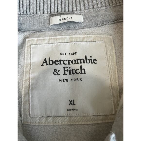 Abercrombie & Fitch Retro Y2k Muscle fit Sherpa Lined heavyweight Hoodie Sz XL - Picture 4 of 13
